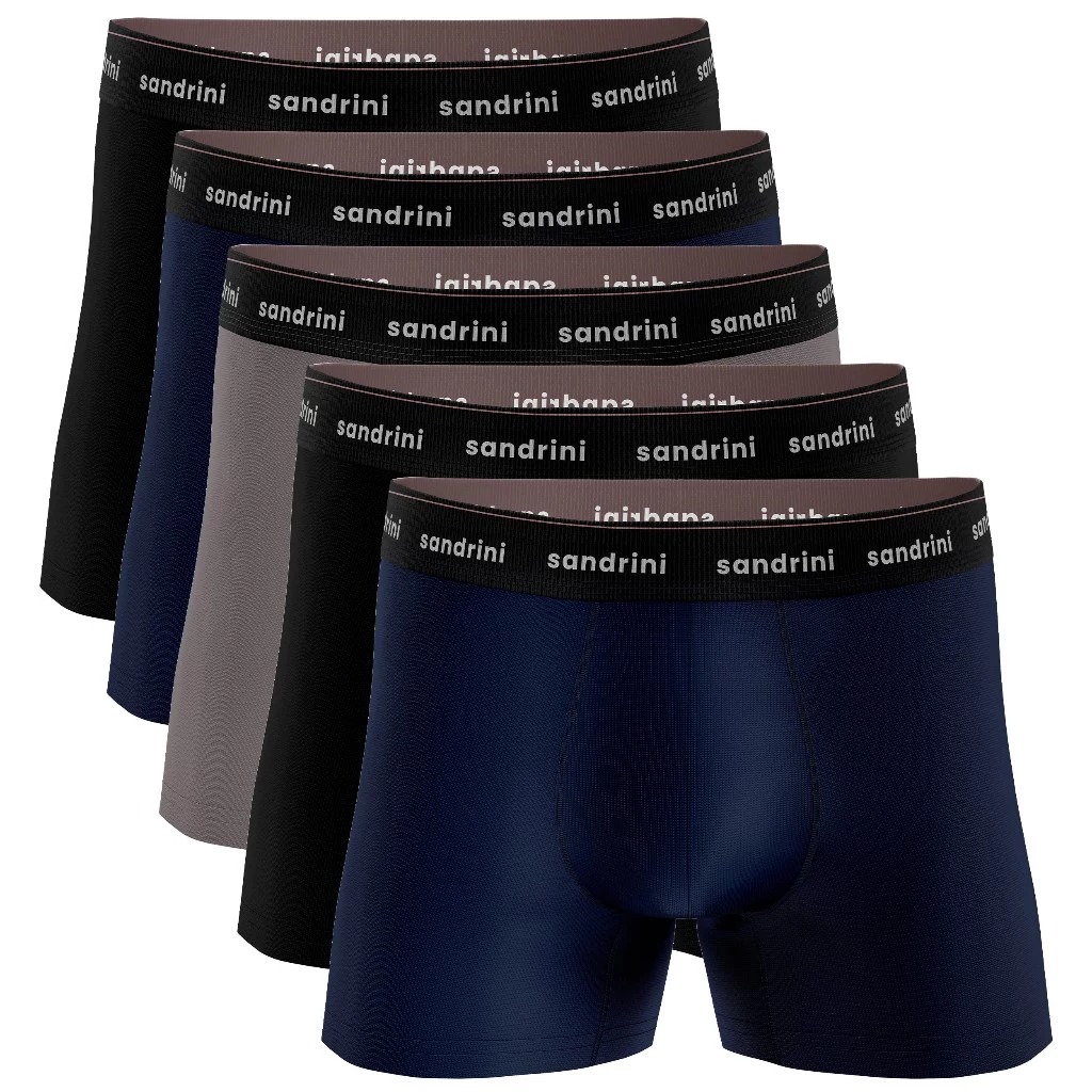 Kit 5 Cuecas Boxer Sandrini Algodão Adulto Masculinas Elastano Original cueca box